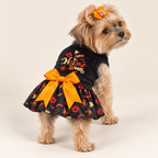 Keka wearing the Happy Halloween Bow dog dress in a rear three-quarter studio view