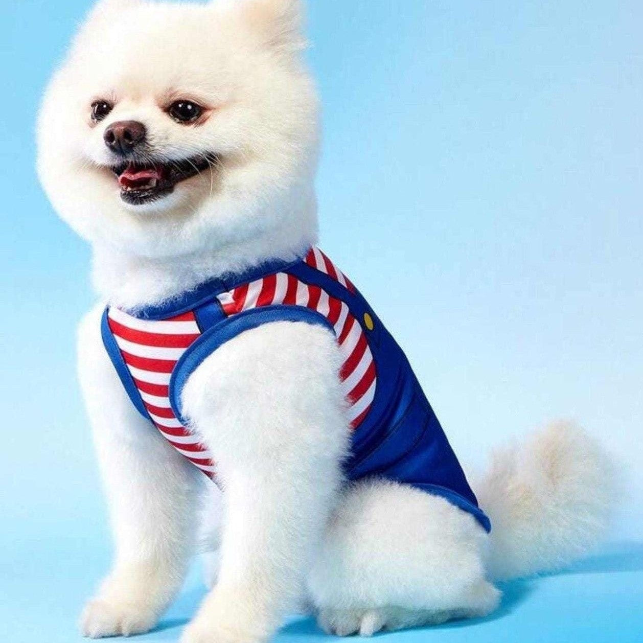 small dog wearing red cartoon dog shirt with overalls style design