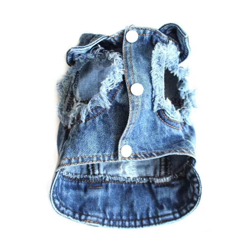 Close-up of metal details and straps on black punk dog vest.