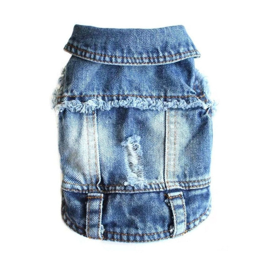 Back view of black punk dog vest showing unisex harness-style design for small and medium dogs.