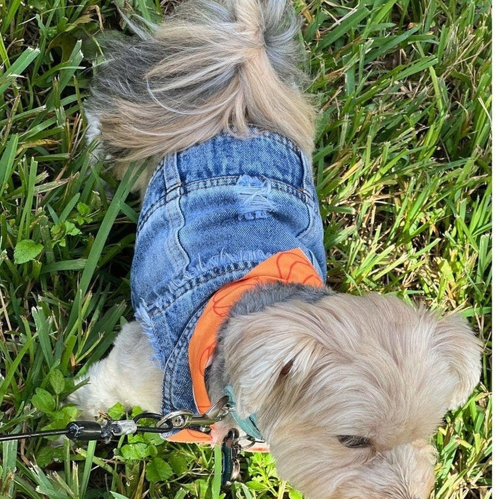 Back view of black fashion punk dog vest for small and medium dogs.