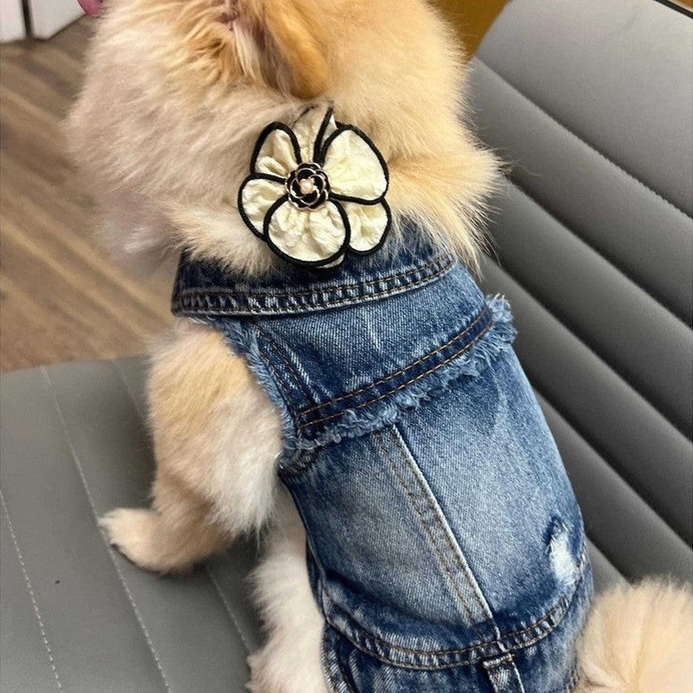 Small dog wearing a denim outfit with a decorative bow on a car seat.