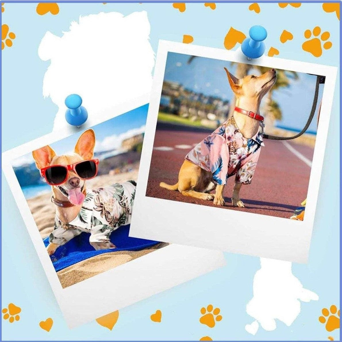 Hawaiian tropical style shirt for pets showing size and fit details