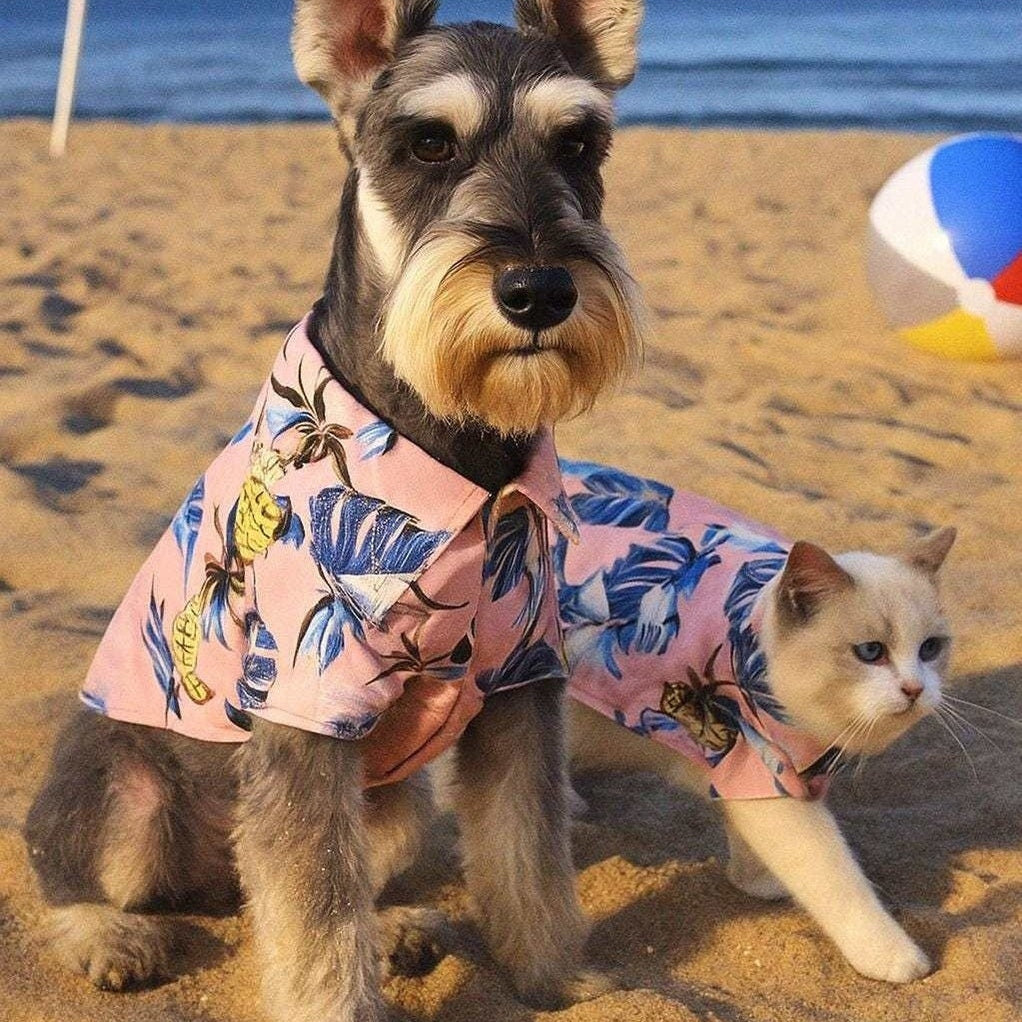 Dog and cat wearing Hawaiian Tropical Style Shirts with beach print on sandy shore