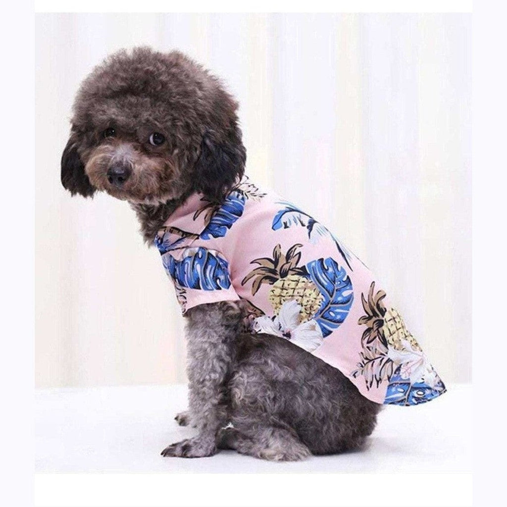Small dog wearing blue Hawaiian tropical shirt with beach print design