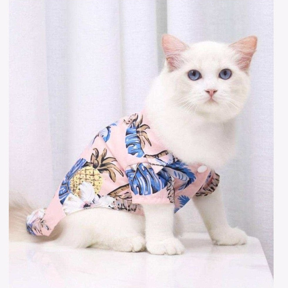 Cat wearing Hawaiian tropical style shirt with vibrant beach and palm tree pattern