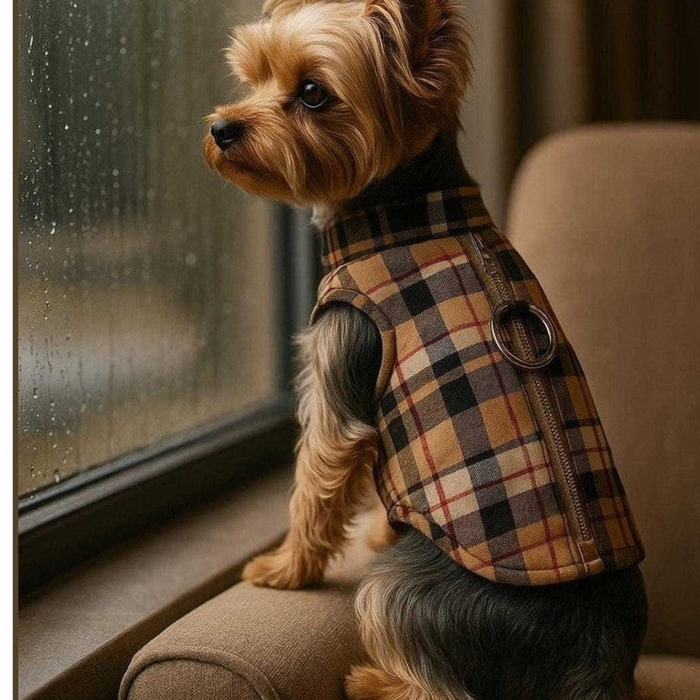 Back view of plaid dog harness vest showing double D-rings for leash