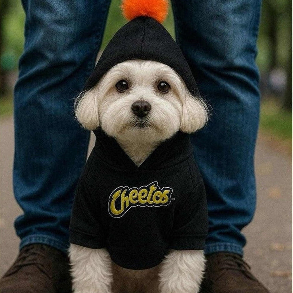 Mannequin dog wearing Orange Pom Dog Hoodie in front of yellow backdrop.