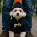 Mannequin dog wearing Orange Pom Dog Hoodie in front of yellow backdrop.