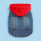 Dog hoodie color options in red