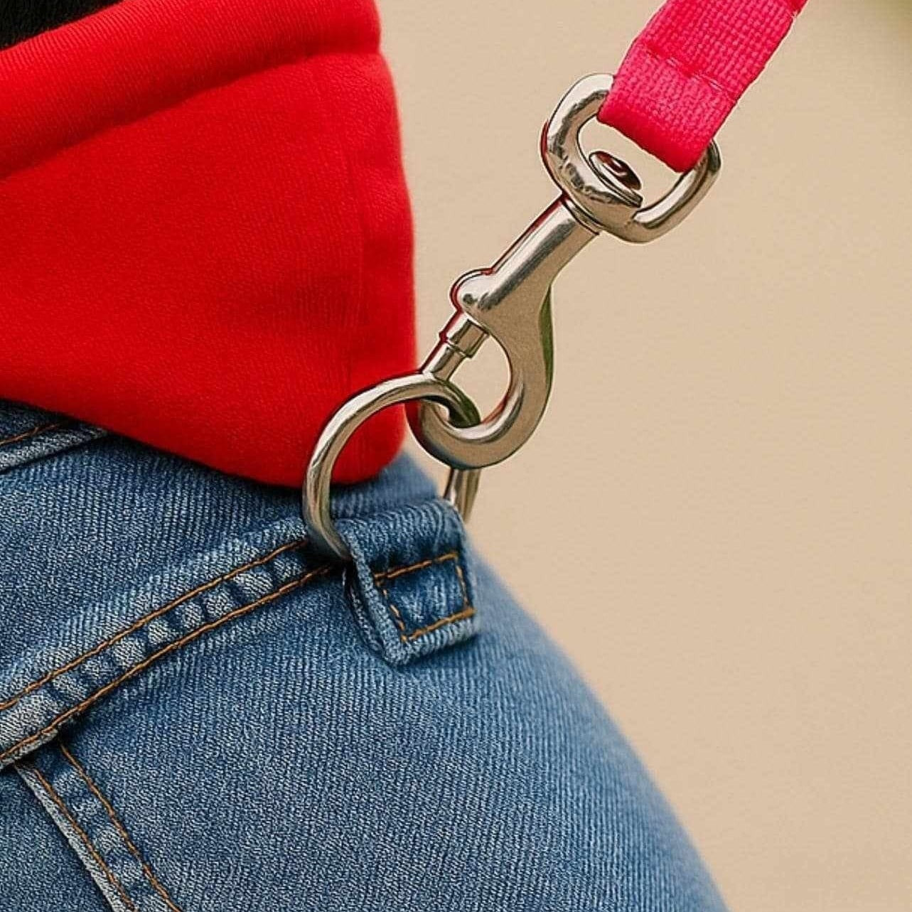 Close-up of D-ring harness on soft fleece dog hoodie
