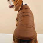 Small dog wearing Brown Quilted Dog Jacket, sherpa-lined brown quilted winter coat on a light blue background.