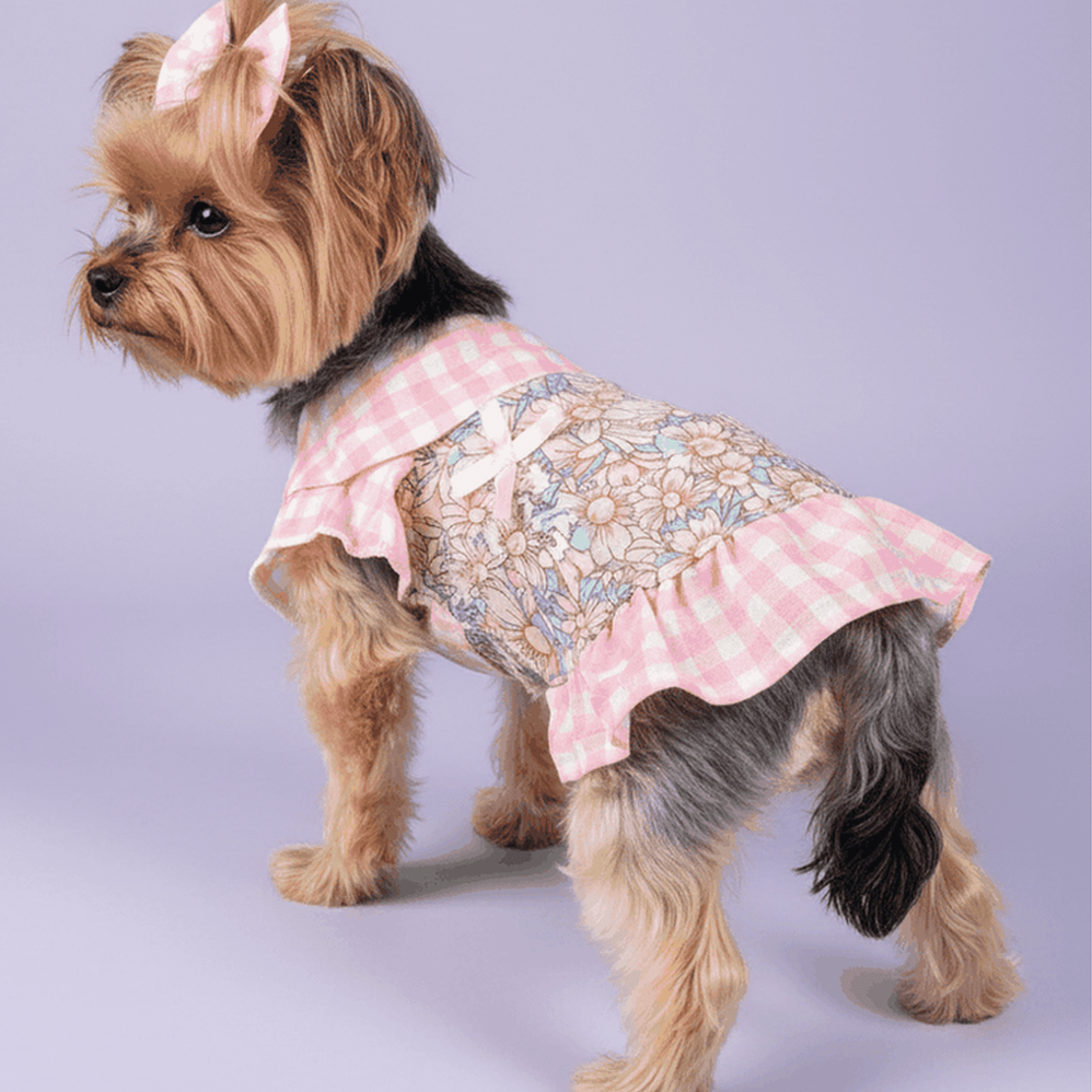 Pink Gingham Floral Dog Dress - Yorkie with bow headband detail