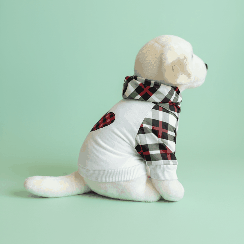 White fluffy dog wearing plaid hoodie side view on mint green pastel background - stylish dog outfit