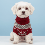 Small dog wearing red and grey reindeer knit dog sweater with turtleneck, front view on powder blue background