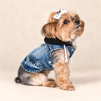 Keka seated wearing the Downtown Denim Hooded Dog Jacket with black hood and proportional white drawstrings