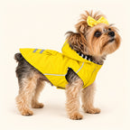 Yorkshire terrier wearing the yellow Slicker dog raincoat, three-quarter view showing the hood and reflective striping