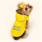 Yorkshire terrier in the yellow Slicker dog raincoat, back view showing the snap-close pocket and reflective stripes