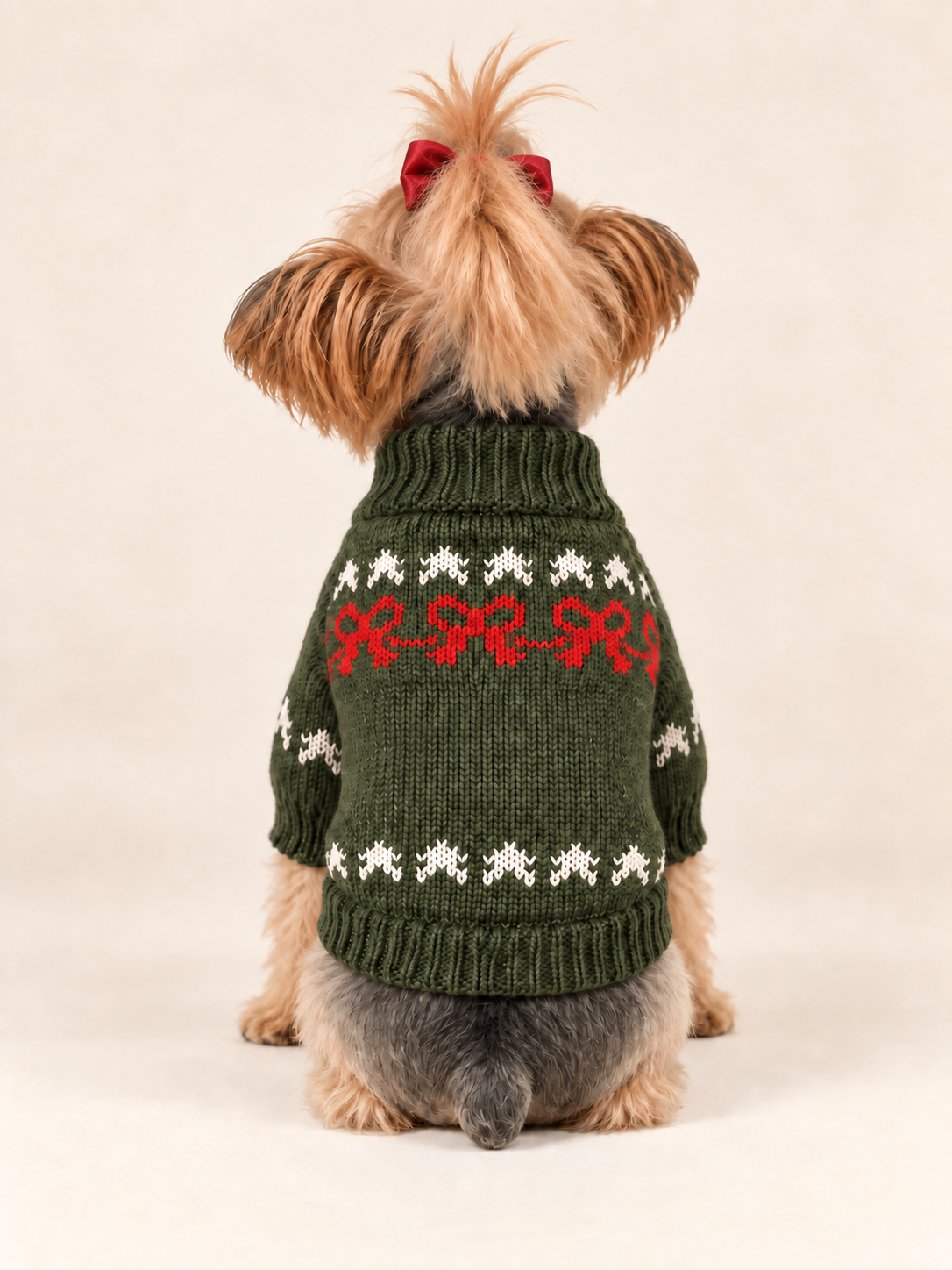 Keka wearing the green Merry Little Christmas dog sweater, back view
