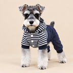 Schnauzer wearing the navy bear hooded dog outfit, front view