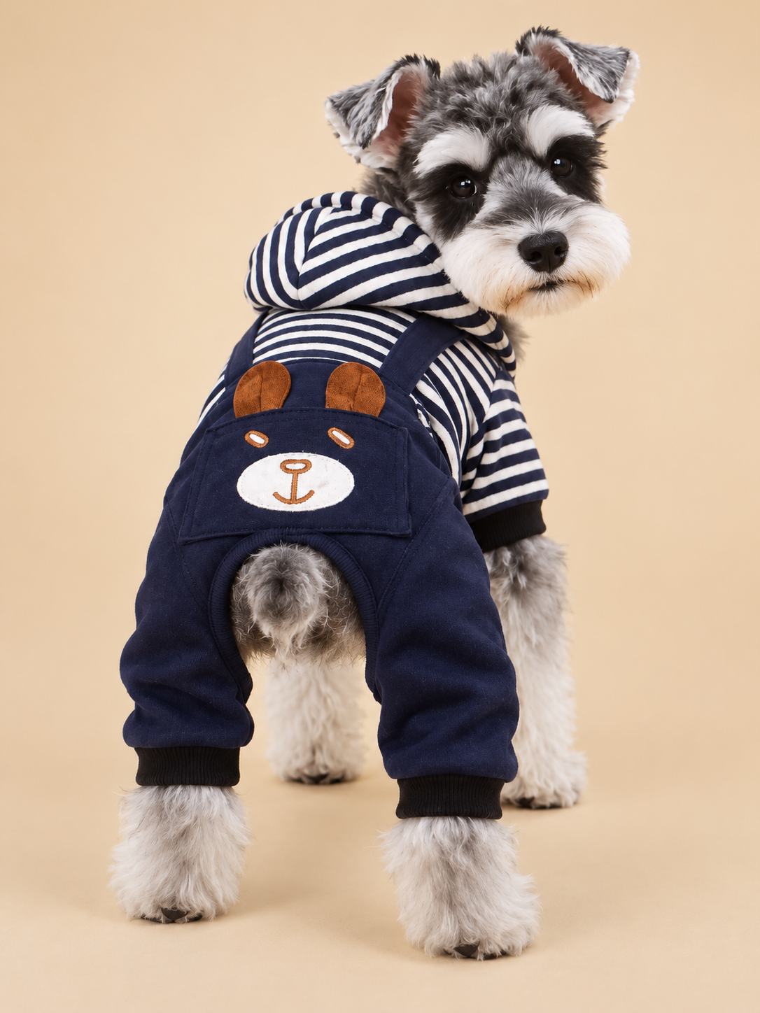 Schnauzer wearing the navy bear hooded dog outfit, rear view