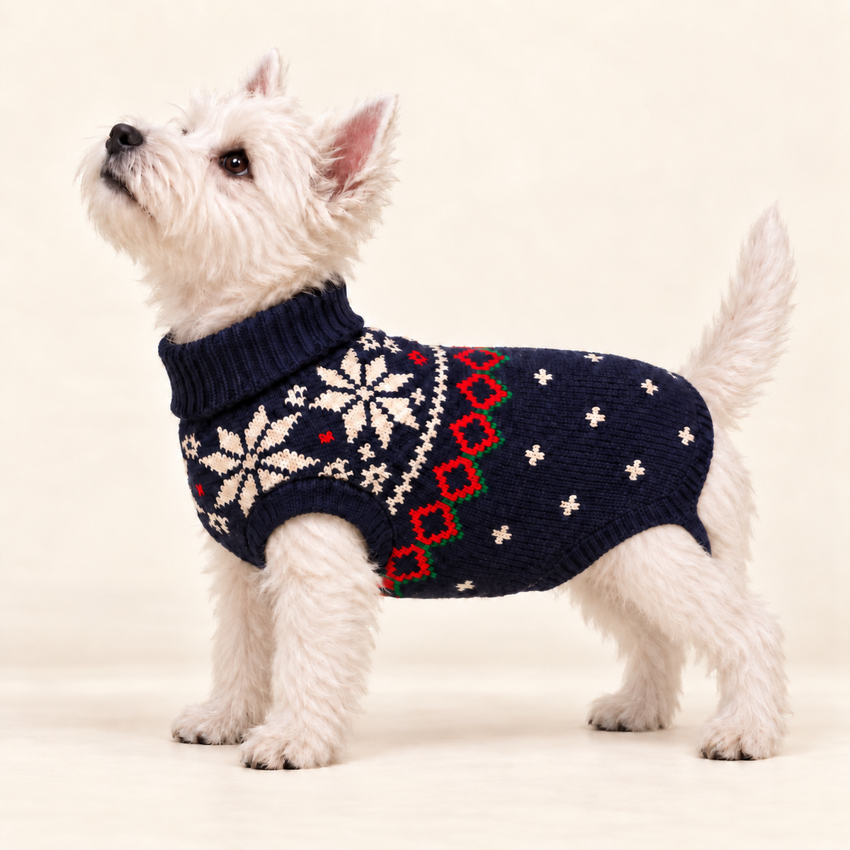 White Westie wearing the Navy Snowflake Dog Sweater on a cream studio background