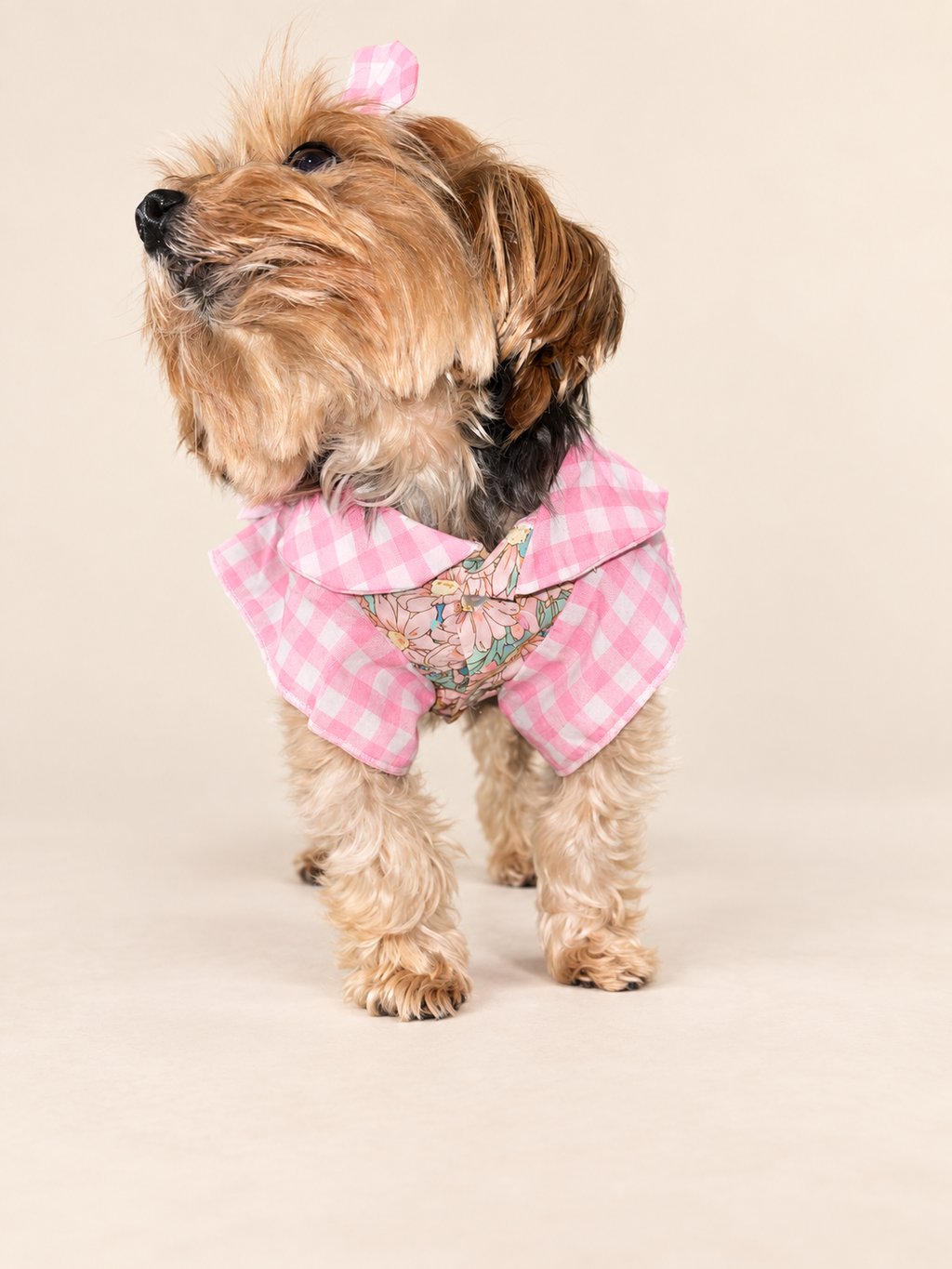 Professional front view of Keka showing the gingham collar, sleeves and floral bodice
