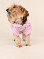 Professional front view of Keka showing the gingham collar, sleeves and floral bodice