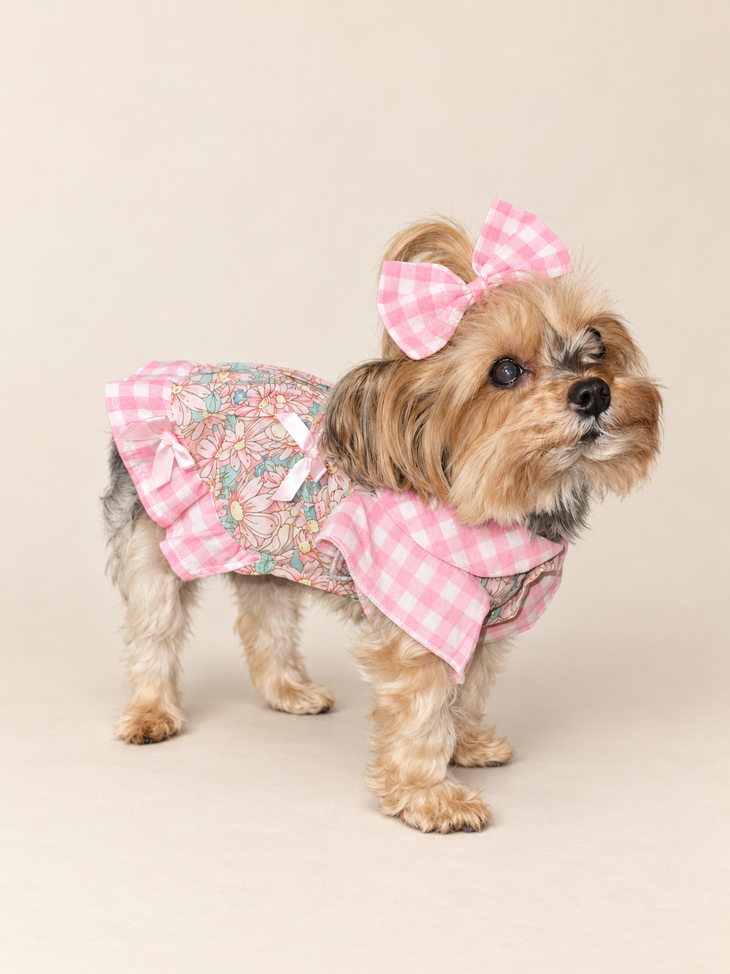 Keka wearing the pink gingham floral dog dress in a professional three-quarter catalog view