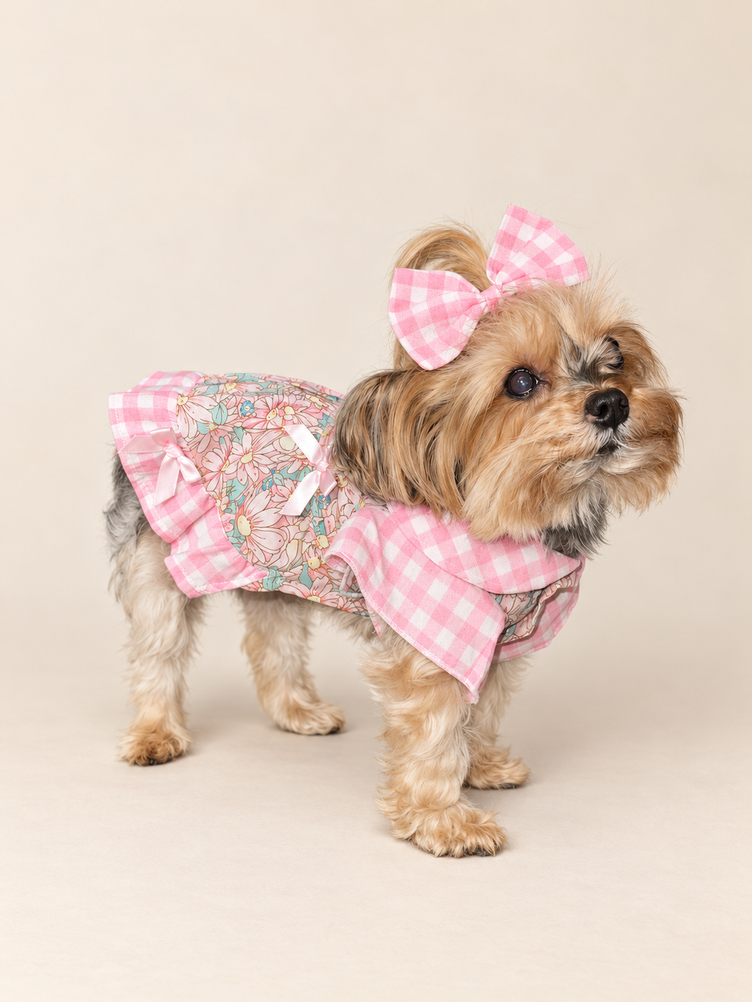 Keka wearing the pink gingham floral dog dress in a professional three-quarter catalog view