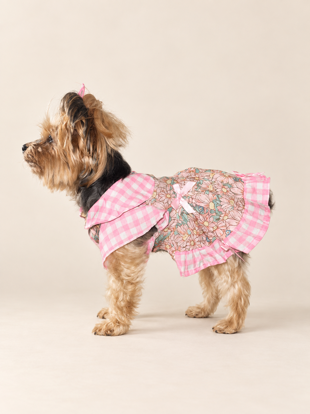 Professional side view of Keka wearing the pink gingham floral dog dress