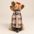 Rear view of Keka wearing the plaid harness vest with centered zipper and double D-rings