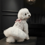 White Chanel-style tweed dog dress showing front view with pearl buttons and luxury pet fashion design