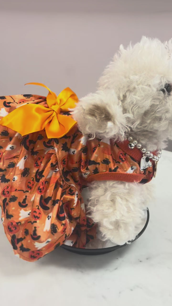 Halloween goes out – ends Sunday/Oferta Termina el Domingo