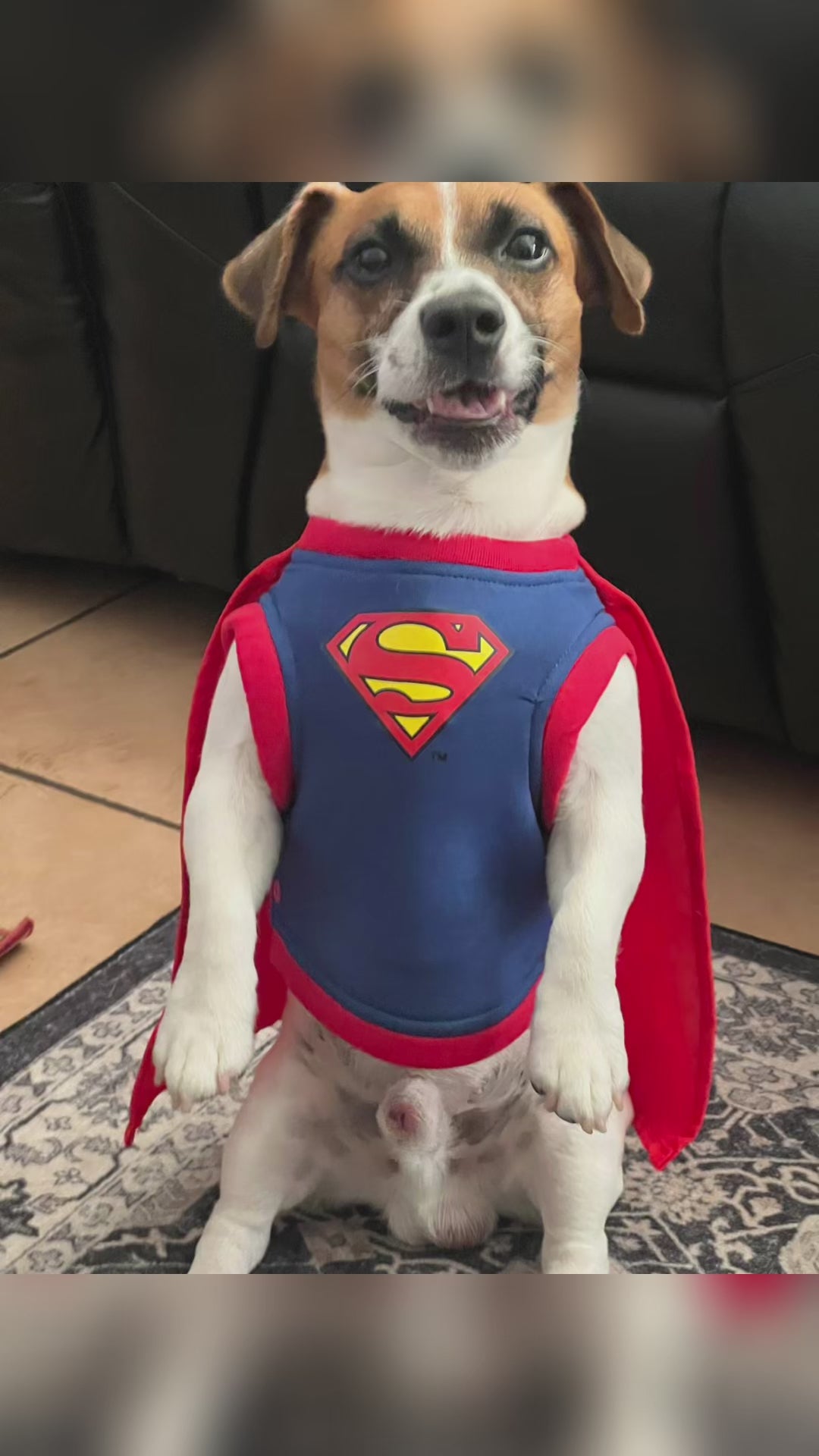 Halloween goes out – ends Sunday / Oferta Termina el Domingo