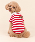 Apricot Toy Poodle seated with her back to the camera wearing the red striped dog polo, showing the embroidered puppy patch