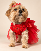 Keka wearing red tulle dress with 3D rose bodice, front view