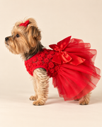 Keka wearing red tulle dress, full left-side view showing bow and layered skirt