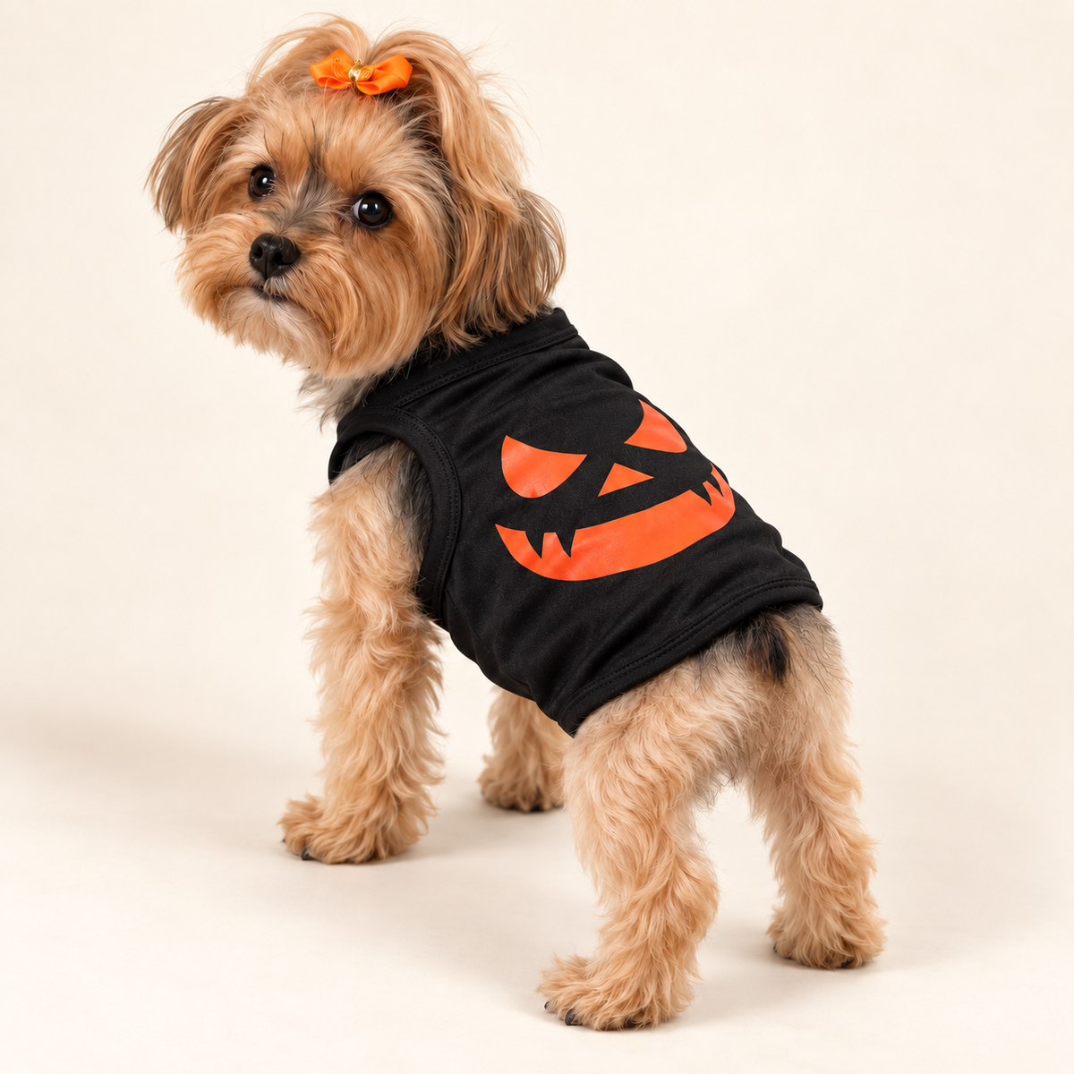 Keka wearing the black Spooky Smile Halloween dog shirt, back three-quarter view showing the orange pumpkin face