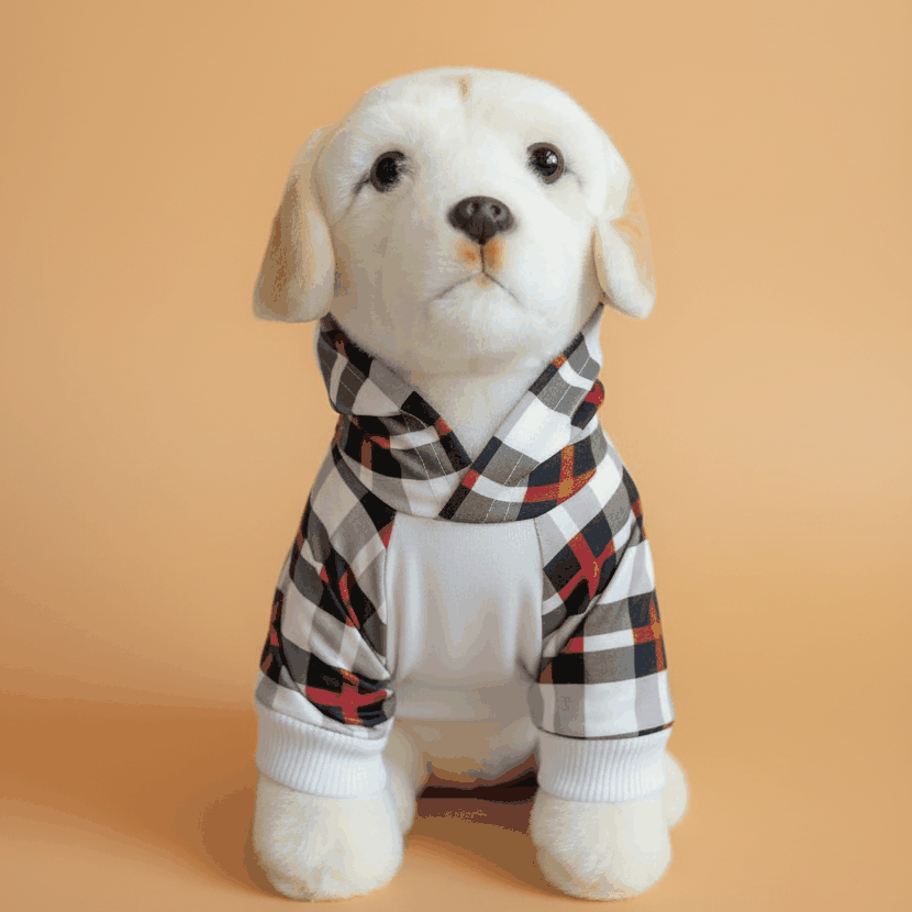 White fluffy dog wearing plaid hoodie on amber seamless background - clean studio product photo
