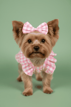 Yorkshire Terrier in Pink Gingham Outfit - Professional Shot